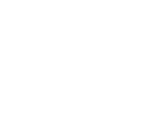 Möbel- / Fassadenlift